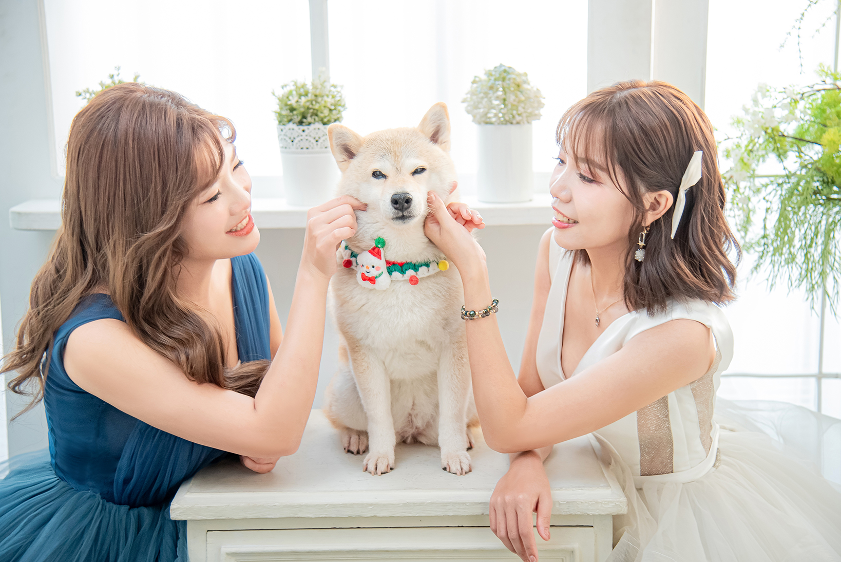 高雄寵物合照攝影